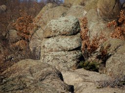 DSC_3717-1~0