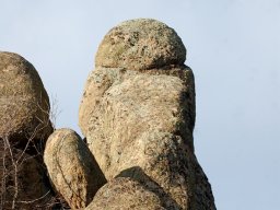 DSC_3741-1