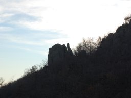 DSC_3764-1