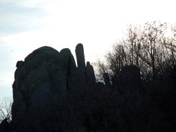 DSC_3766-1~0