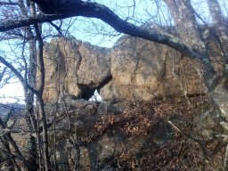IMG_20220206_163837-1