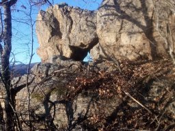 IMG_20220206_163852-1