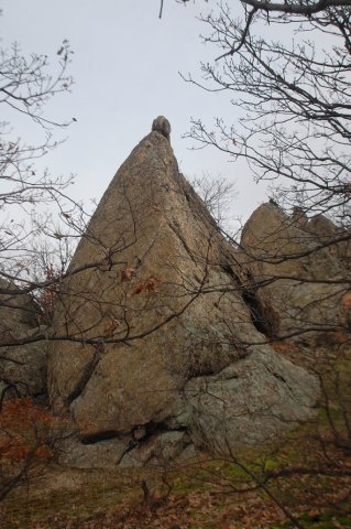 DSC_4191-1