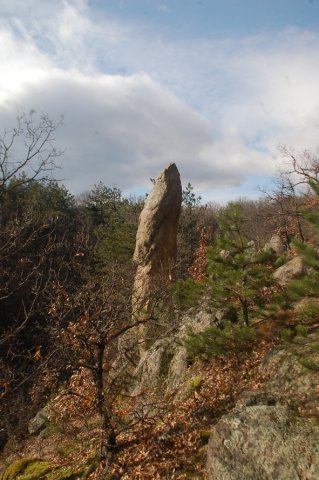 DSC_4231-1