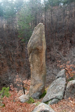 DSC_4250-1