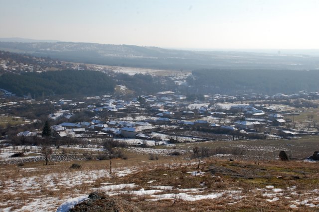 DSC_7940-1