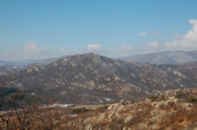 DSC_7954-1