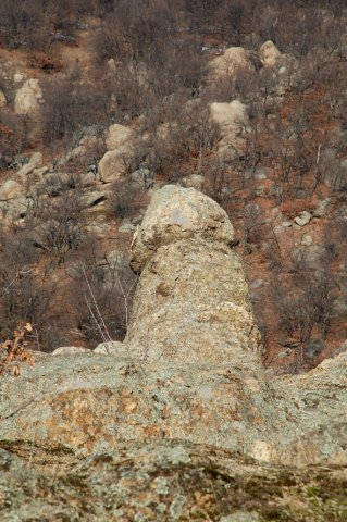 DSC_8026-1
