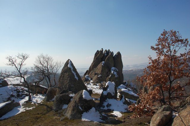 DSC_8062-1