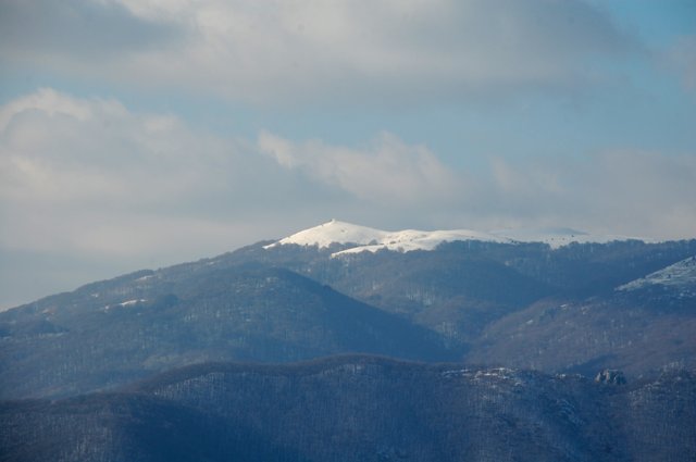 DSC_8130-1