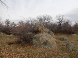 DSC_4144-1