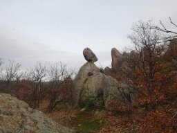 DSC_4188-1