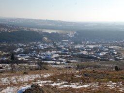 DSC_7940-1