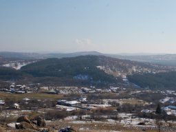 DSC_7941-1