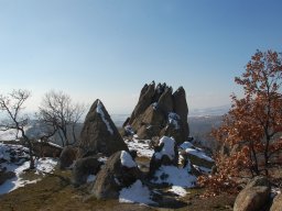 DSC_8062-1