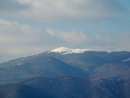 DSC_8130-1