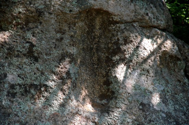 DSC_1506-1