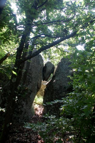 DSC_1508-1