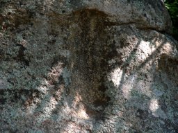 DSC_1506-1