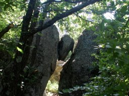 DSC_1508-1