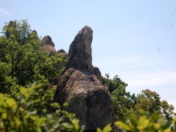 DSC_1561-1