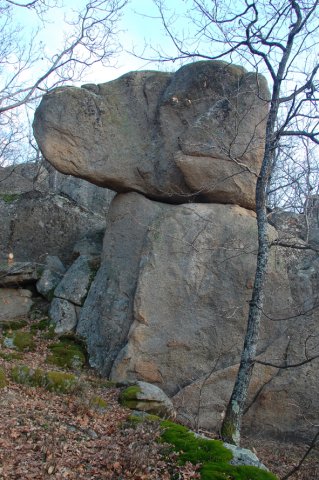 DSC_1434-1
