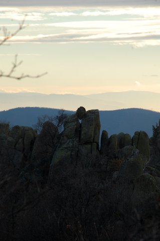 DSC_1448-1