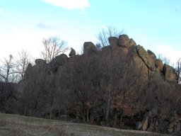 DSC_1425-1