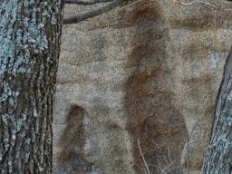 DSC_1442-1