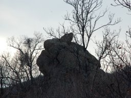 DSC_1452-1