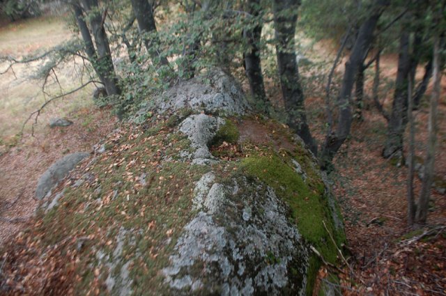DSC_5517-1