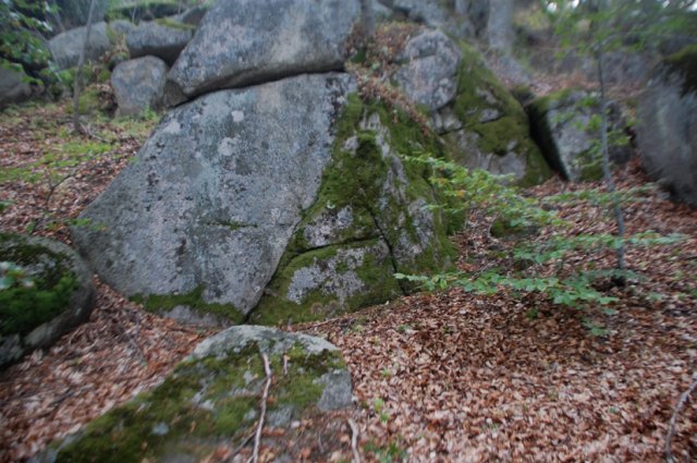 DSC_5667-1