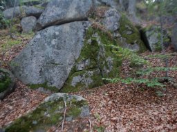 DSC_5667-1