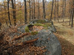 DSC_5945-1