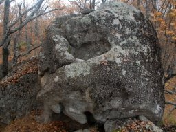 DSC_6082-1