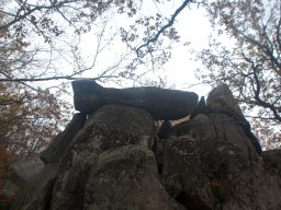 DSC_6108-1