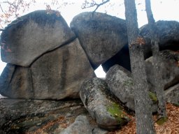 DSC_6146-1