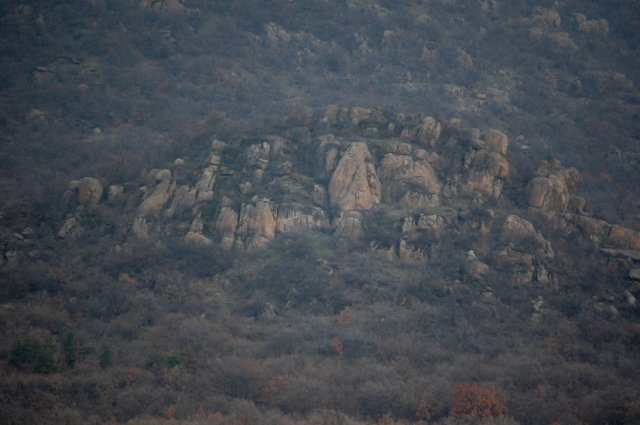 DSC_6613-1