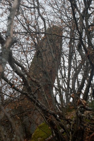 DSC_6742-1