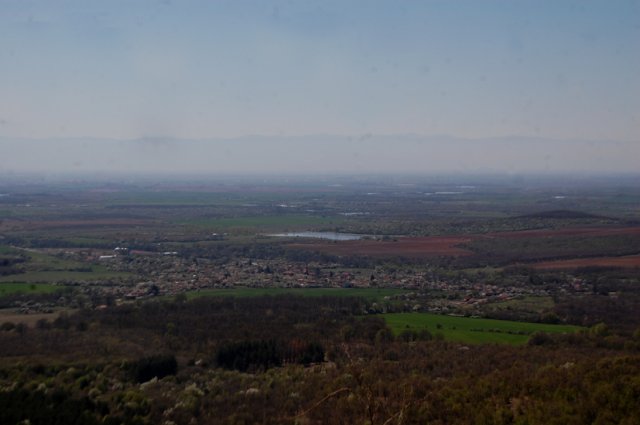DSC_7231-1~0
