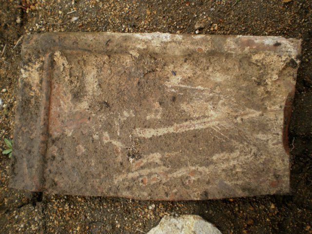 P3100024-1