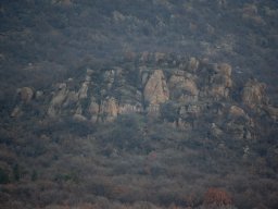 DSC_6613-1