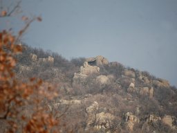 DSC_6633-1