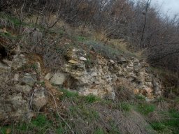 DSC_6637-1
