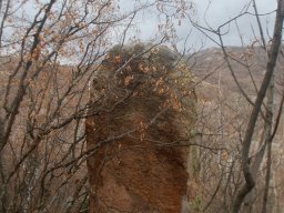 DSC_6733-1