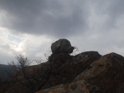DSC_6820-1