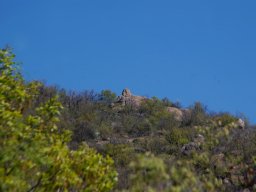 DSC_7213-1