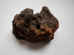 P3120111-1