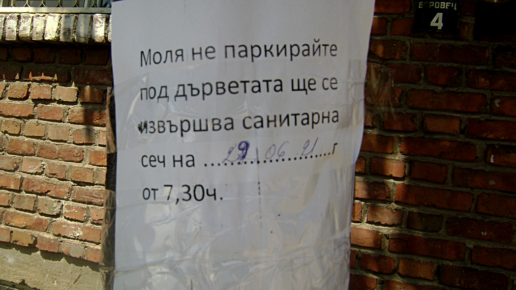 DSC05805-1