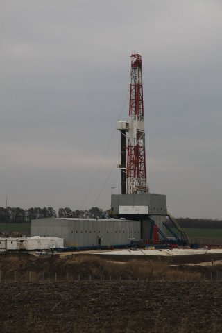 rogozina1